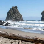 Second Beach Washington: Complete Travel Guide for Visitors and Hikers Second Beach Washington