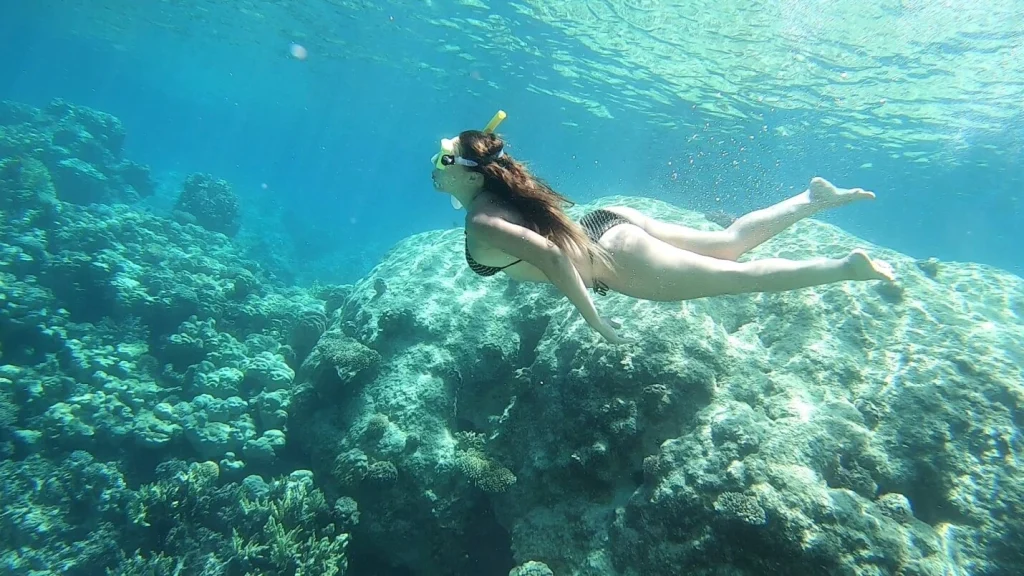 Snorkeling Around Orange Bay Snorkeling Around Orange Bay